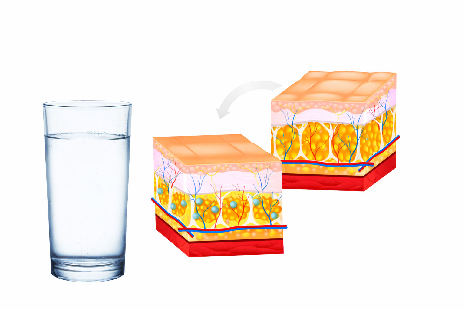 Zasada działania Balancio